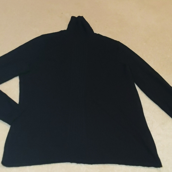 dressbarn turtleneck